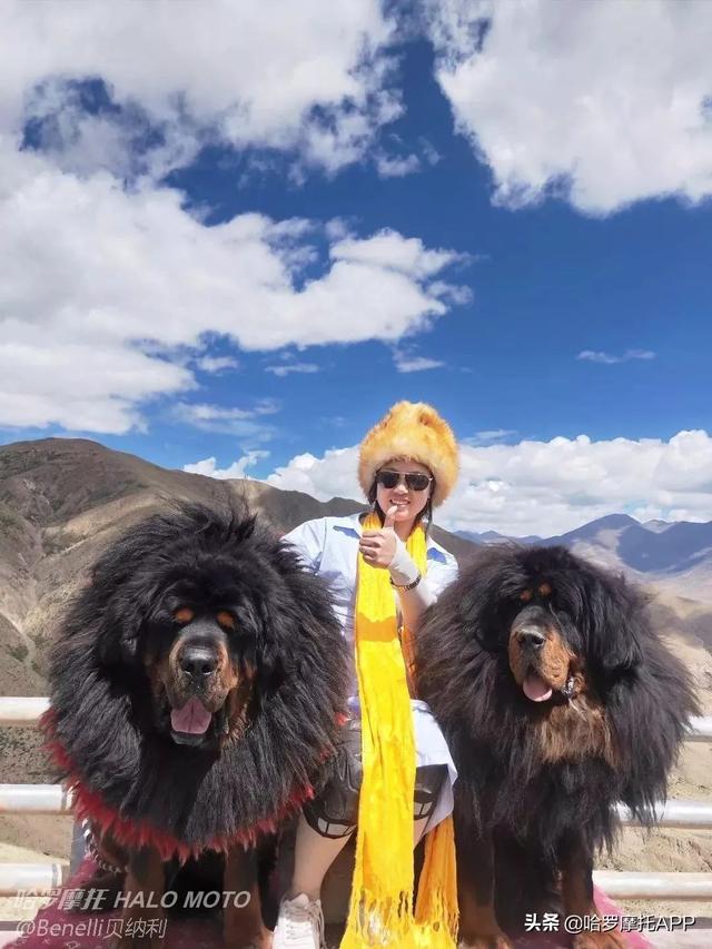 摩旅日记｜36天12000公里——新手女骑士的TRK502X西藏独行计划