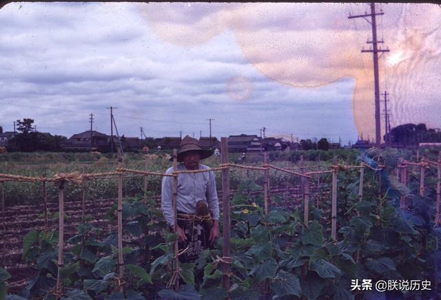 1954年的日本，罕见街拍老照片，到处都是美国大兵