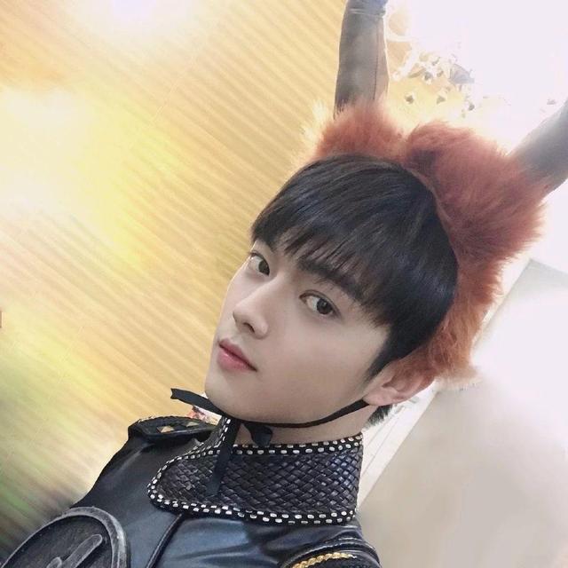 杨紫被爆诈捐？