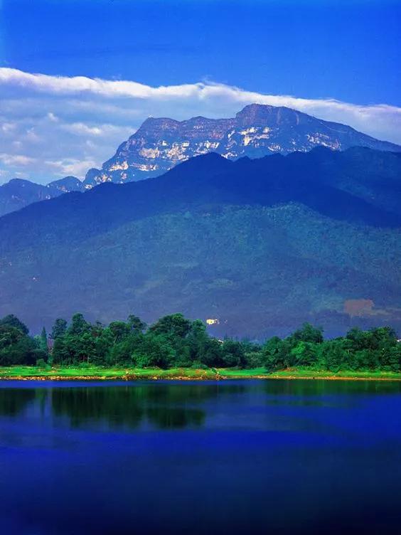 十花，十景，十美人，看完人自醉