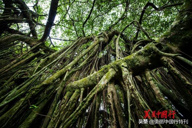 这里是中国大陆海岸线最西南端，与越南隔江相望，有大清第一界碑