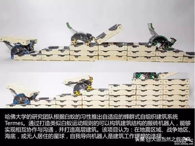 建筑行业科技变革已悄然来临，想想就让人怦然心动