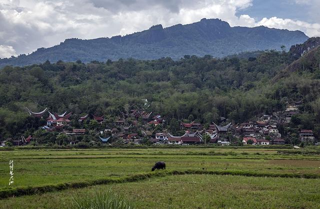 「印尼」深入苏拉维西腹地，初探托拉查文化