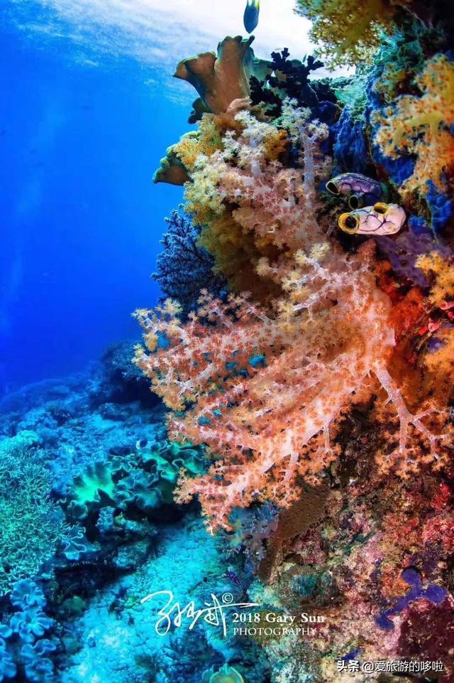 印尼的这个海岛，比巴厘岛更令人倾心，比马代更适合潜水...