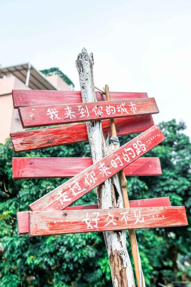 廣州藏了個獨具嶺南水鄉特色的古村落，不收門票，超適合拍照打卡
