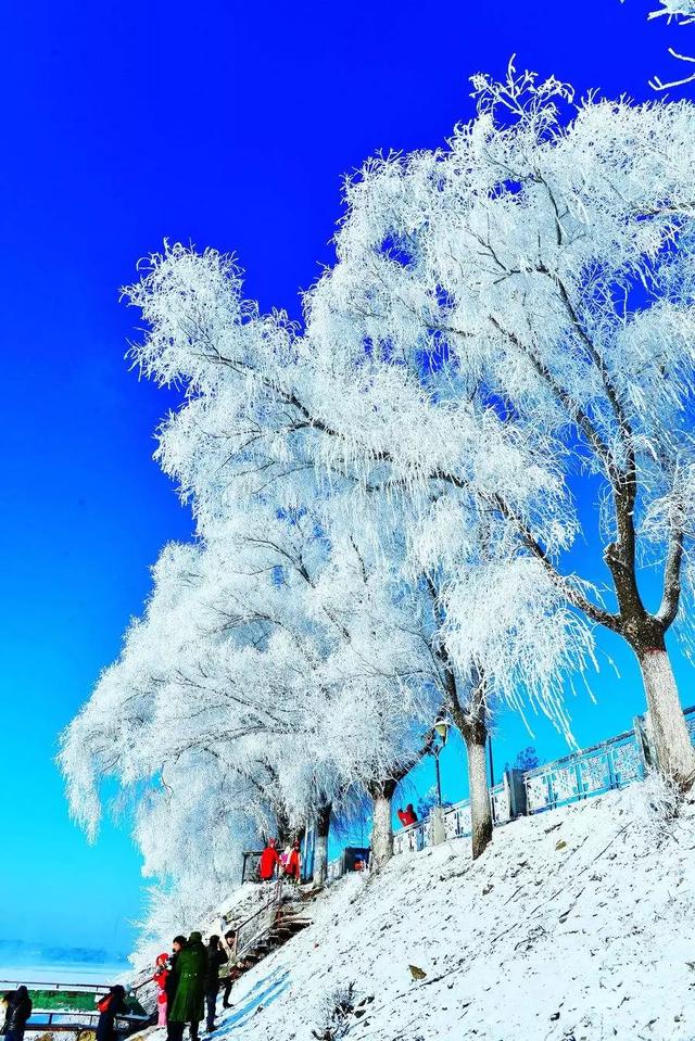 十花，十景，十美人，看完人自醉