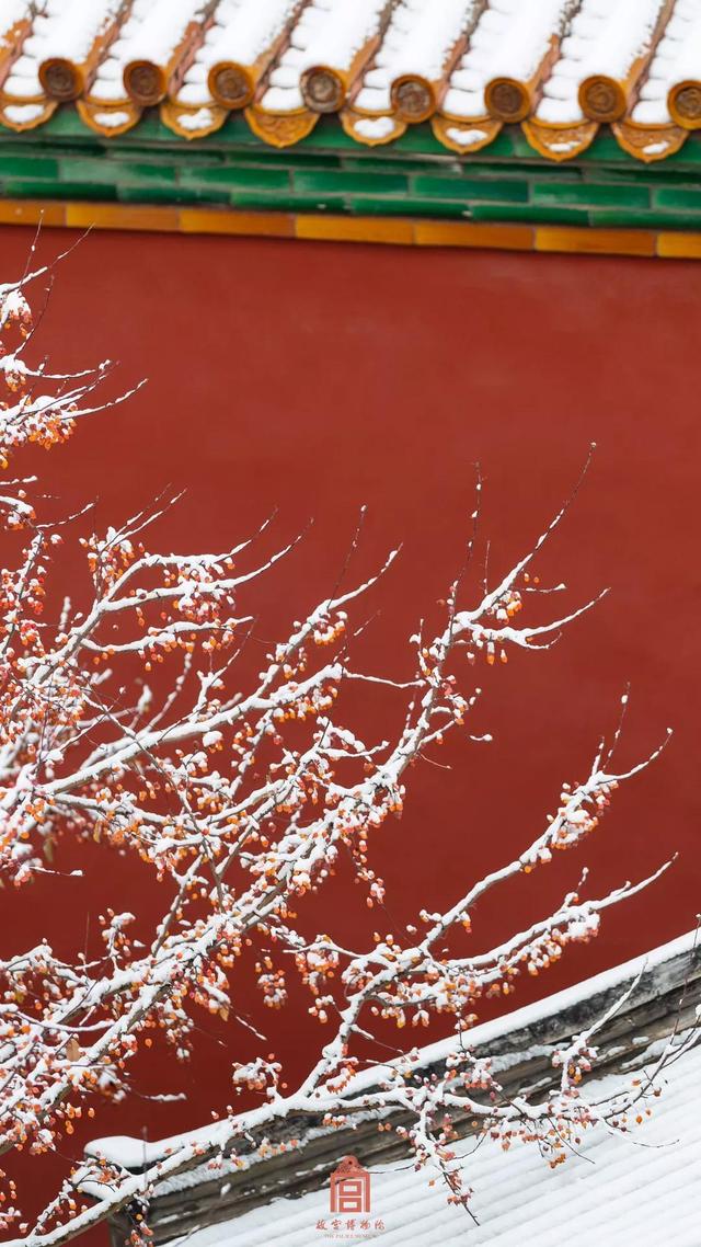 故宫美爆了！北京的雪邂逅紫禁城