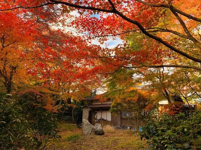 京都2019红叶季