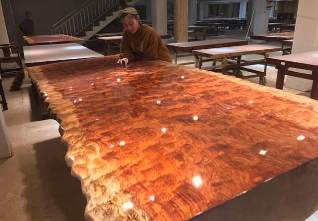 中国富豪买非洲3000吨树王，全加工成大板桌，专家怒斥暴殄天物