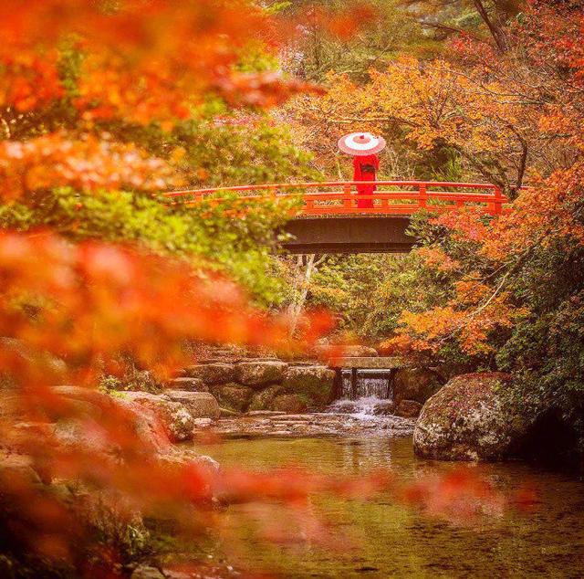 日本醍醐寺~ ​ ​​​​