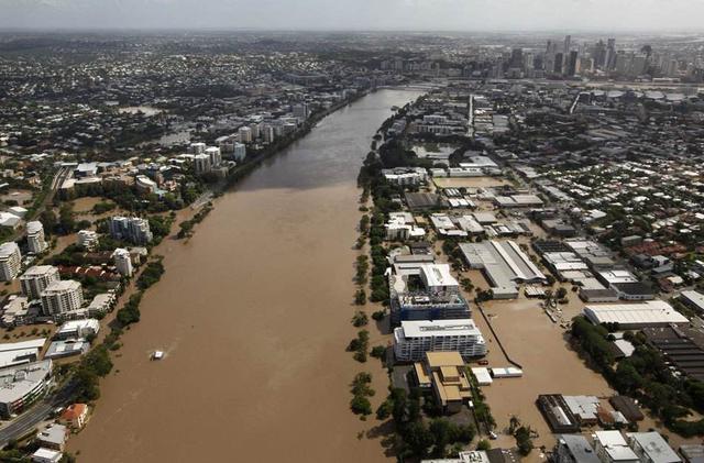 2020年才短短40余天，却已澳洲10亿动物死亡、东非千亿级蝗灾……