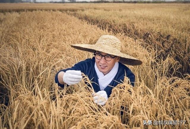 不捐钱捐了两万斤大米的演员周杰，为何能引起如此大的反响？