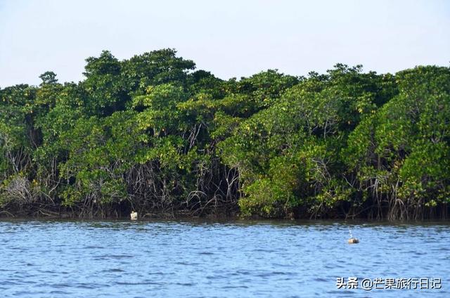 海南有个地方，海底下埋着72个村庄，被称“世界地质奇观”