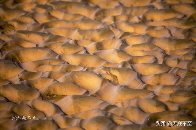 额济纳,不止有胡杨,还有尘封千年的落寞与辉煌