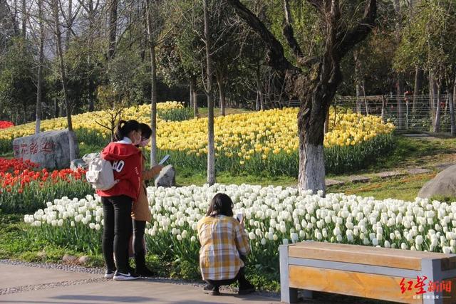 西昌邛泸景区恢复开放首日：接待4862人次，游客需戴口罩测体温