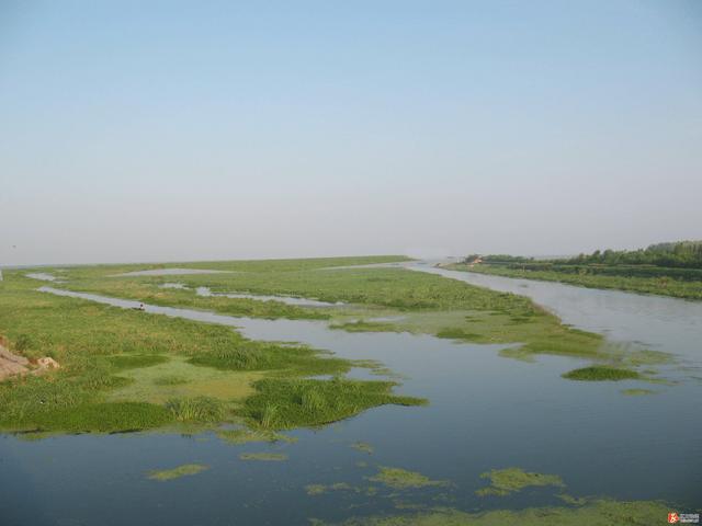 大通湖湿地：三湘第一湖
