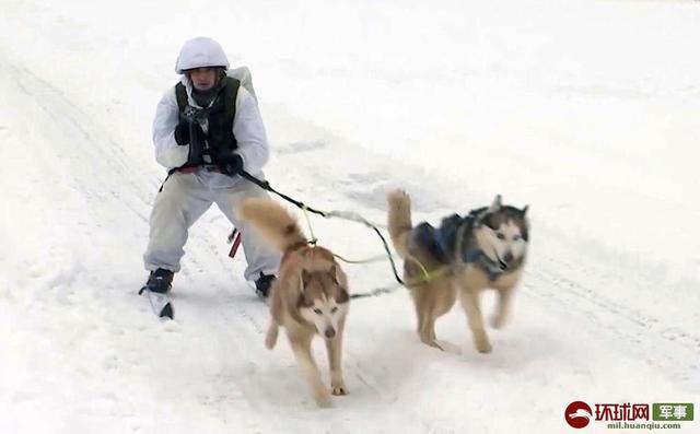 俄军在北极又亮出新技能：军马拉着士兵滑雪作战