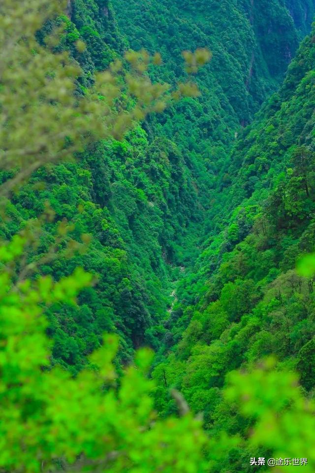 中国最美 六大名山，你去过几个