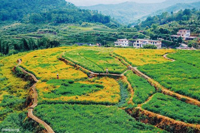 广东这些隐世小城，景色美丽人文深厚，旅游却一直不温不火