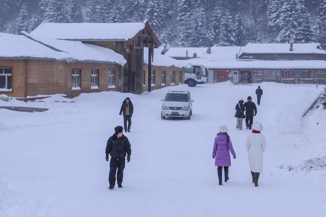 黑龙江双峰林场，冬天里的银色童话世界，惊艳世界的瑰丽雪乡