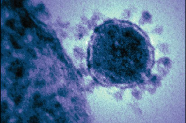 面對新冠病毒，孩子爲什麽很少感染？多國專家給出原因
