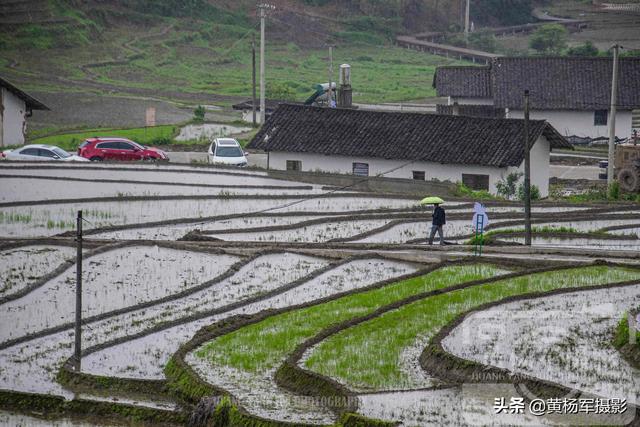 江西崇义县上堡梯田的乡村风光，绵延的水田葱翠的山林景色如画