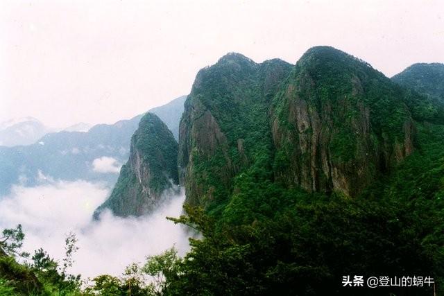 遂昌九龙山：奇峰怪石、奇花异草、古树参天