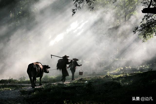 摆拍胜地，霞浦杨家溪古榕树群