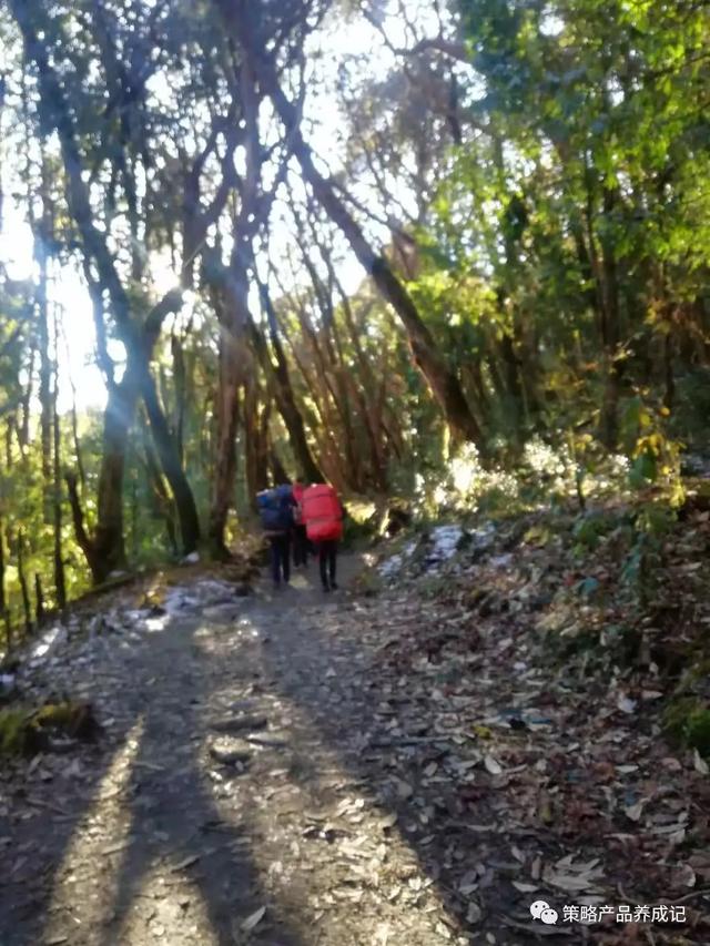 尼泊尔旅行攻略，我的冬日恋歌