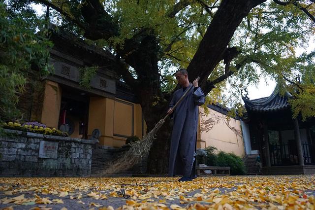 1500年的古刹，“南朝四百八十寺”之一，此时美得如梦似幻