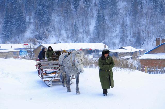 黑龙江双峰林场，冬天里的银色童话世界，惊艳世界的瑰丽雪乡