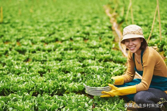 西方四大粮商巨头对中国粮食进行了垄断