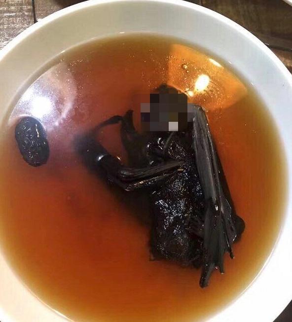 蝙蝠长相难看，为何有人吃得下去？马来西亚群众：味道像鸡肉味