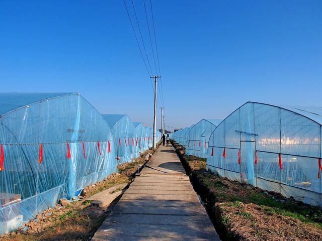 沿着楠溪江，蜿蜒三百里，那些如画的村庄，山水，和美食