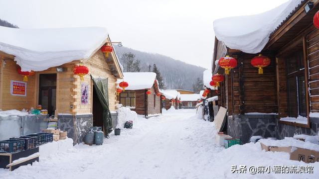 东北冬天最受欢迎的美食，全都扔在地上卖，游客表示越冷越过瘾