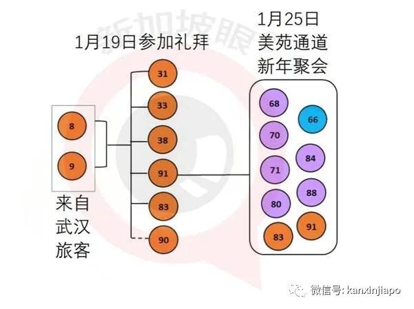 新加坡 |“91号冠病”日记