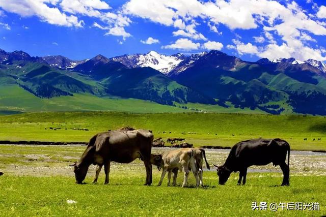 大美新疆，10天環遊北疆旅遊線路