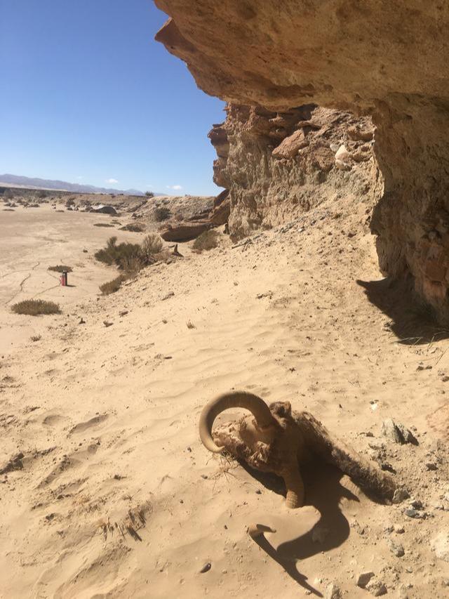 “昆仑山死亡谷”徒步探险实录