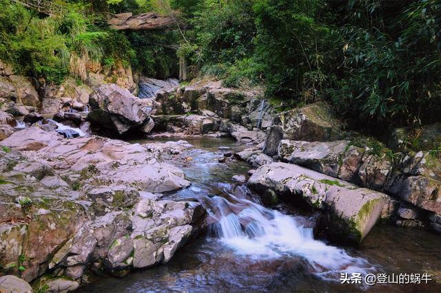 遂昌九龙山：奇峰怪石、奇花异草、古树参天