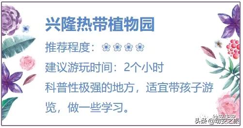 「海南环岛行」单人单车摩旅海南 4天5夜追风赶海感受小岛生活