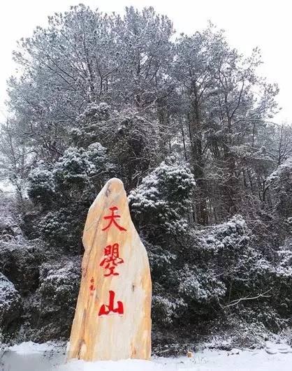 【美景】广元下雪了，这才是正确的打开方式！