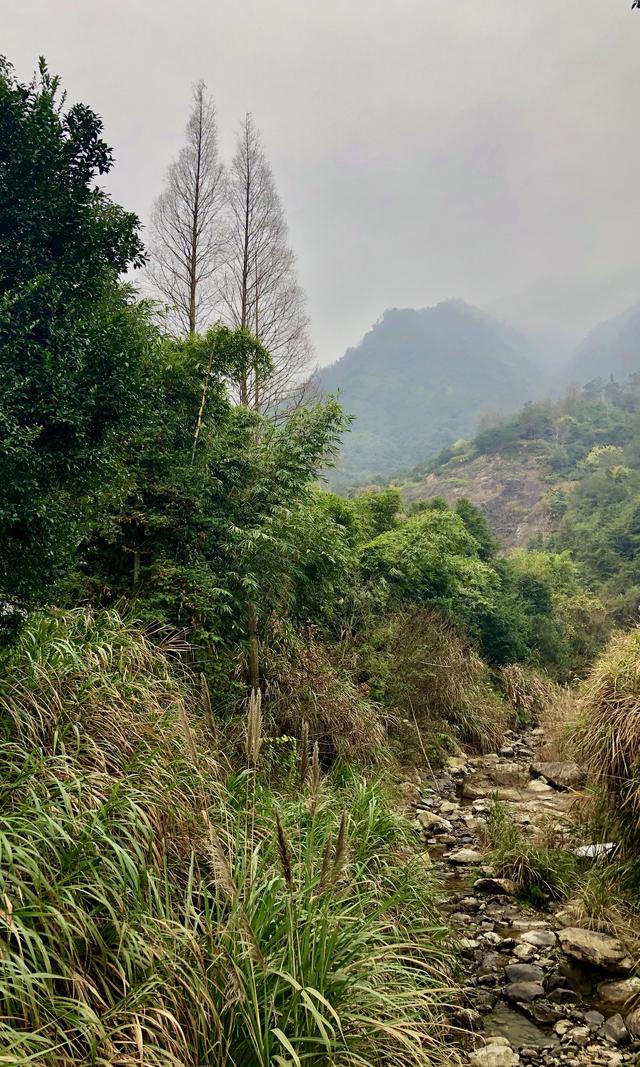 瑞安梅龙溪田园风光4