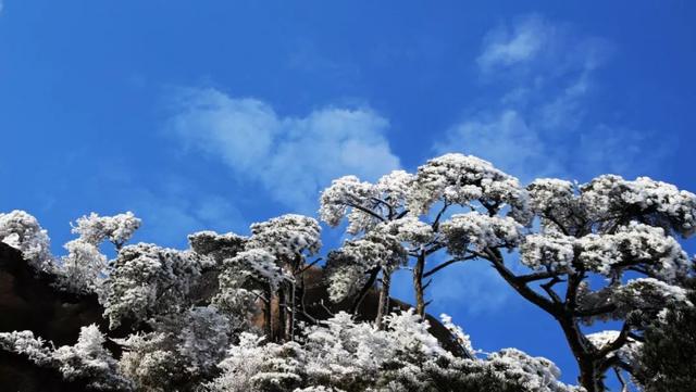 三清山风景十大特色篇