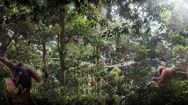 新加坡又建网红酒店？野生动物公园里的悦榕庄｜WOW 设计
