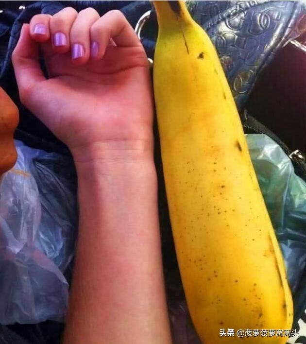 世界上“最大”香蕉樹，一根蕉比胳膊還粗，當地人：一天只吃一個