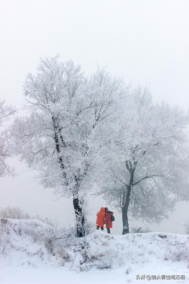 吉林雾凇“冰雪奇缘”中国四大气象奇观之一