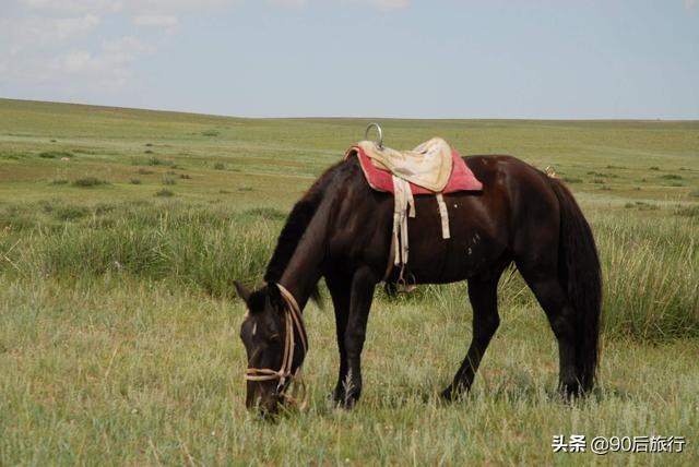 中国最宰客景点：100块钱看石头千元烧柱香，快来看看你被坑过没