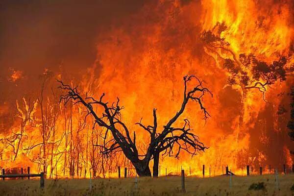澳洲山火持续4月不灭，我国珠峰出现异象，给地球敲响警钟