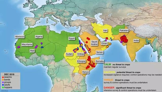 4000亿只蝗虫快速逼近中国！联合国宣布进入紧急状态？真相来了