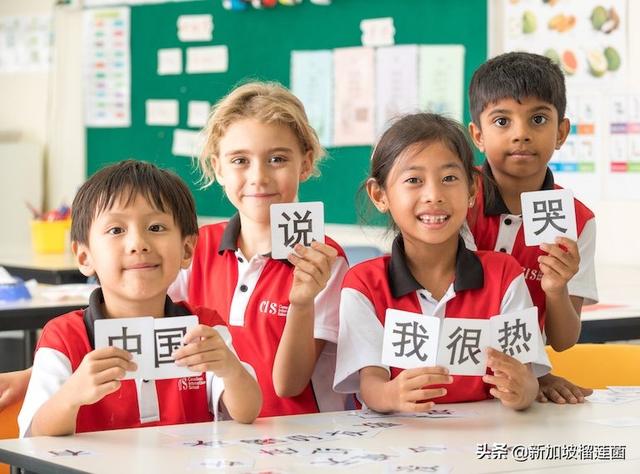 新加坡教育體系｜幼兒園(二)